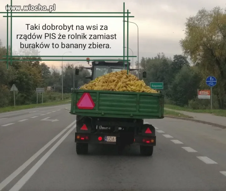 BANANOWY KRAJ
