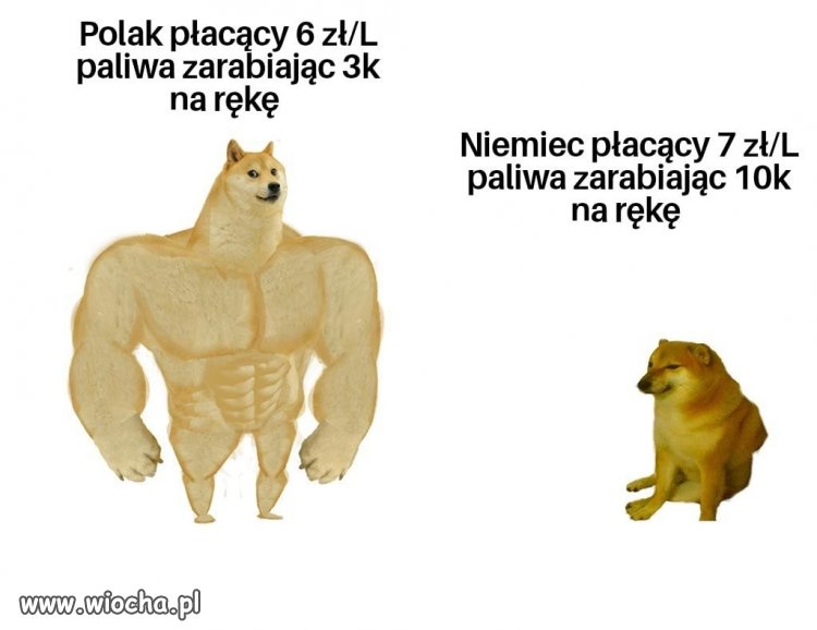 Propaganda sukcesu