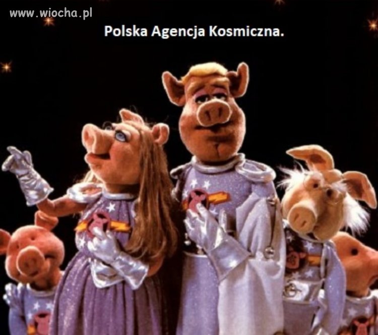Kosmiczny przekręt ... 