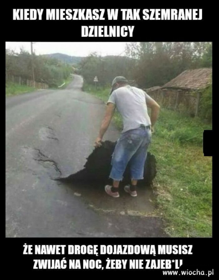 Bez polityki