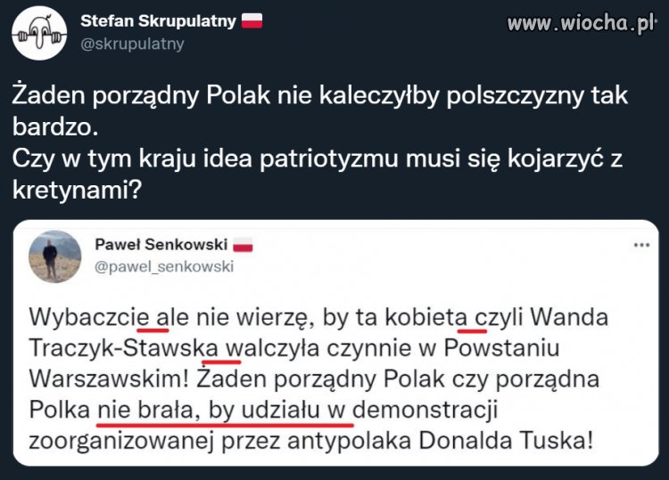 Czy w tym kraju idea patriotyzmu musi się kojarzyć z kretynami