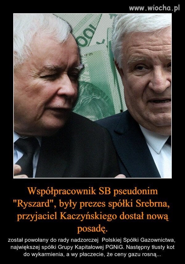 Kolejny tłusty kot ...