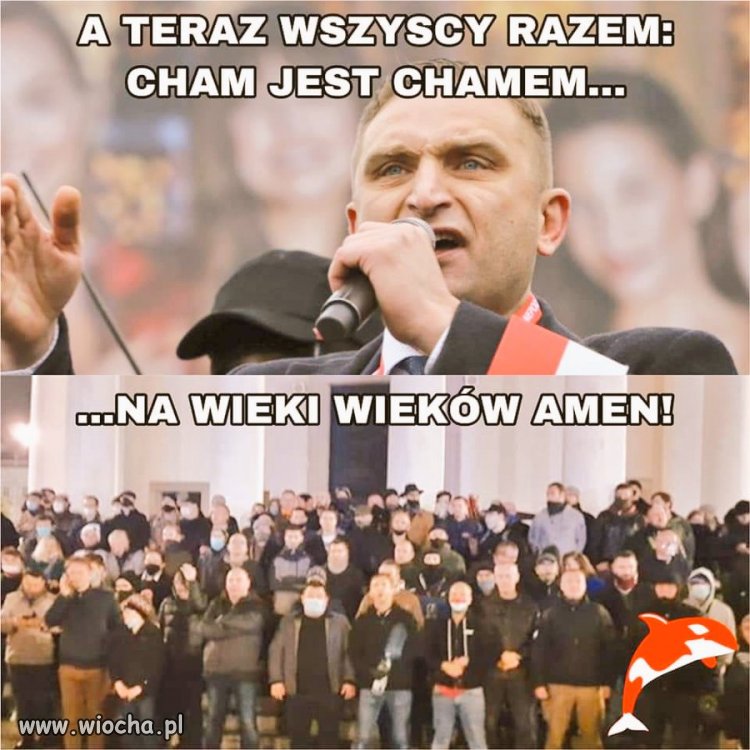 PiSowska zagłuszarka. 