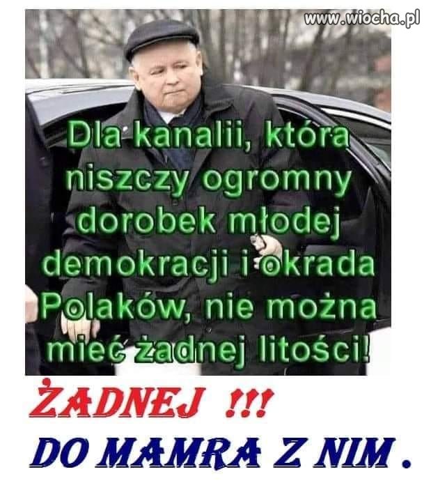 Dokładnie tak.