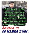 Dokładnie tak.