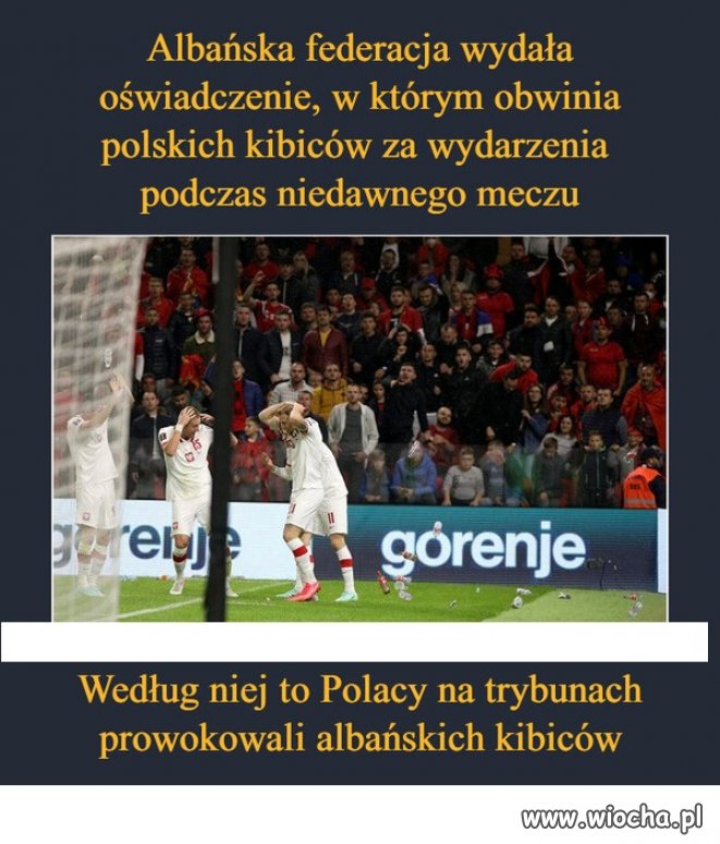 Tych Albańców już całkiem popier...
