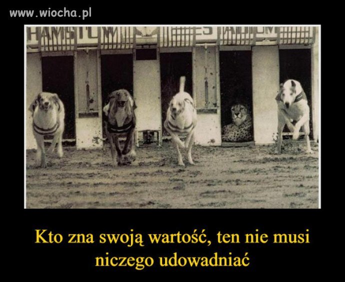 Taka prawda...