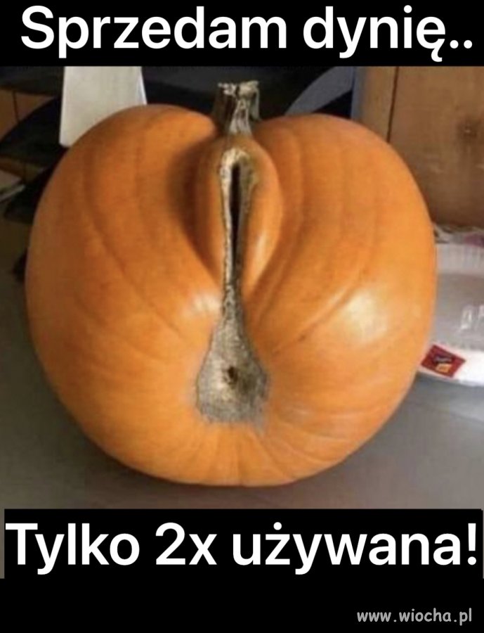 D.pa jak dynia..
