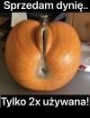 D.pa jak dynia..