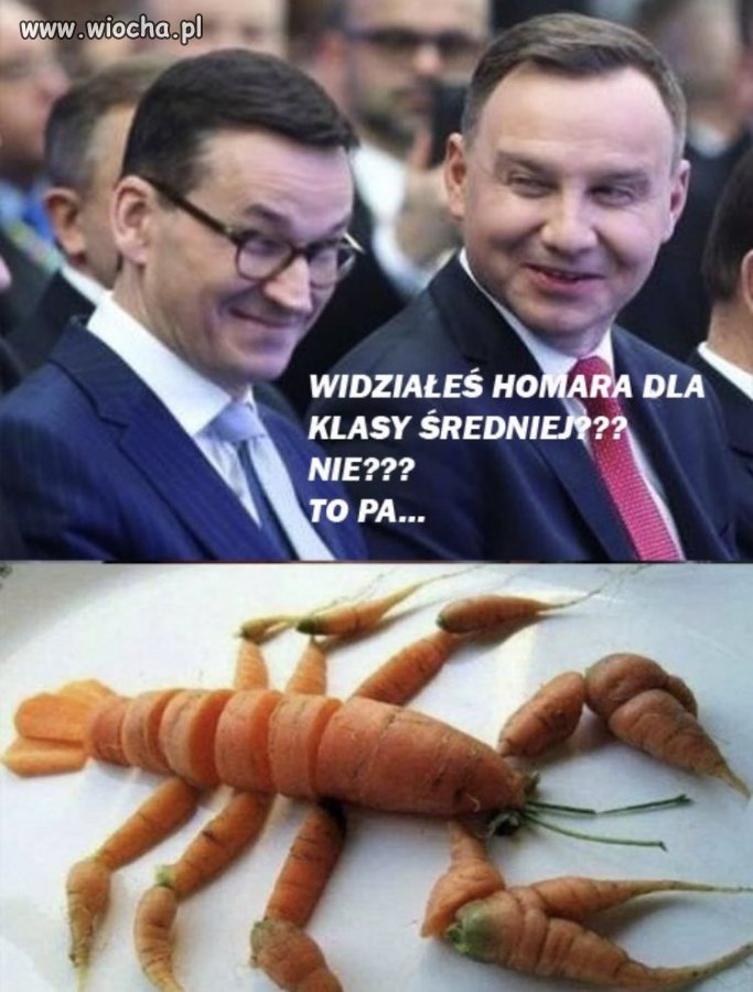 Tylko to tu zostawię