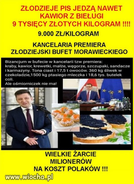 Bizancium nowej arystokracji PiSu...