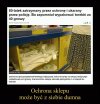 Polska