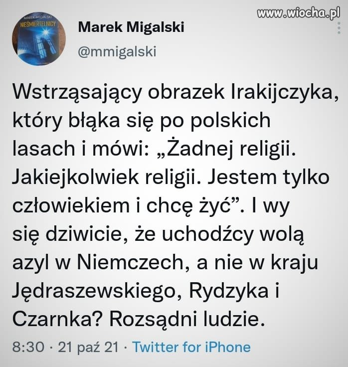 Żadnej religii 