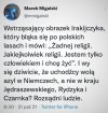 Żadnej religii 