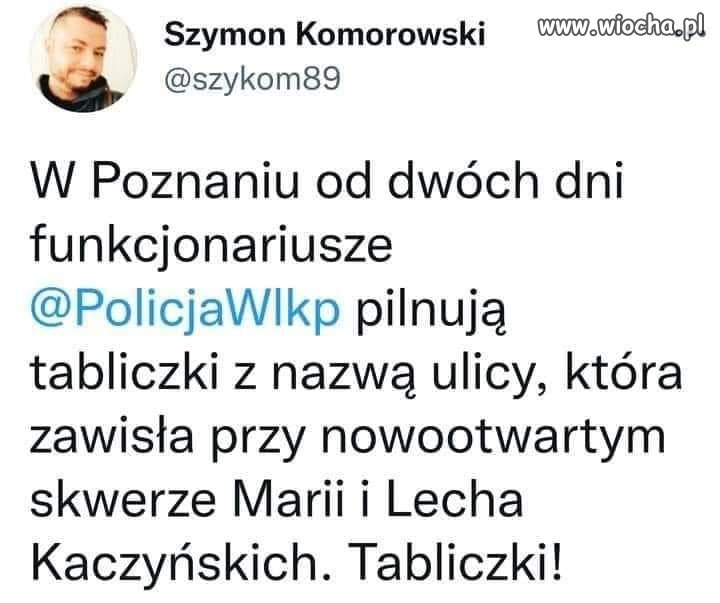 Przecież do niczego innego się nie nadają 