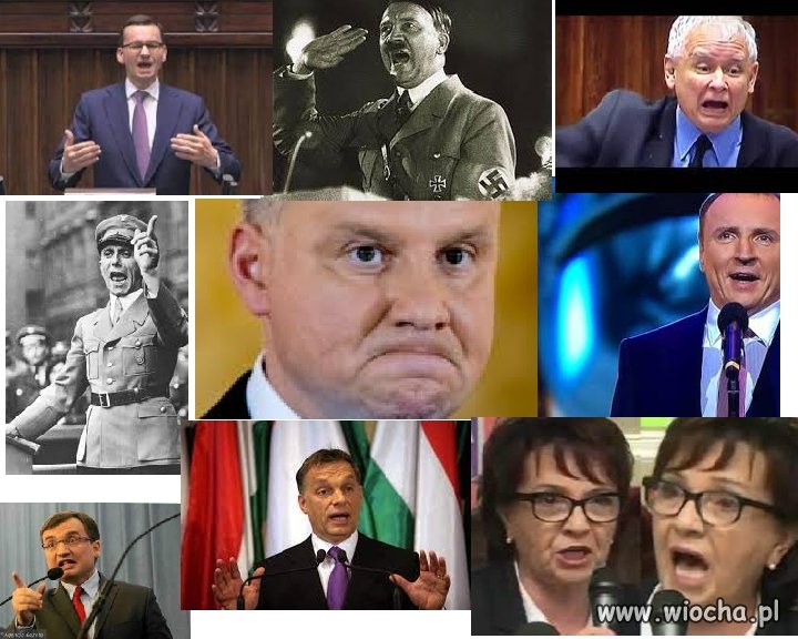 JEDEN NIE PASUJE DO WSZYSTKICH -KTO ???
