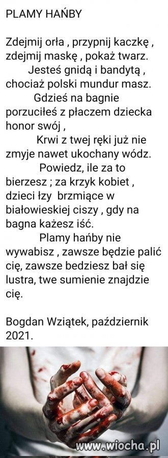 Plamy hańby