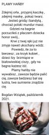 Plamy hańby