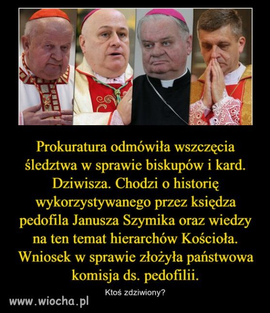 Tak PiS walczy z pedofilia w sekcie kościoła?
