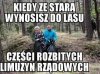 Kiedy ze starą