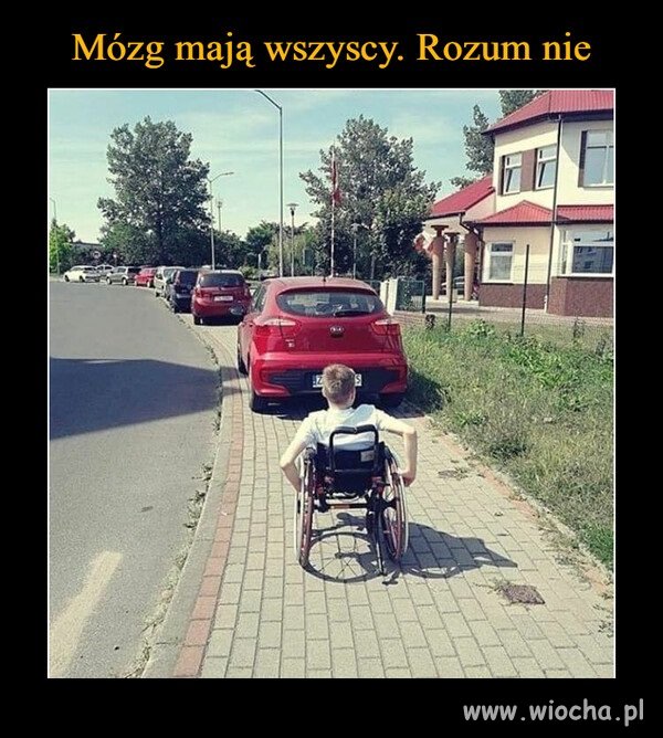 Niestety