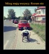 Niestety