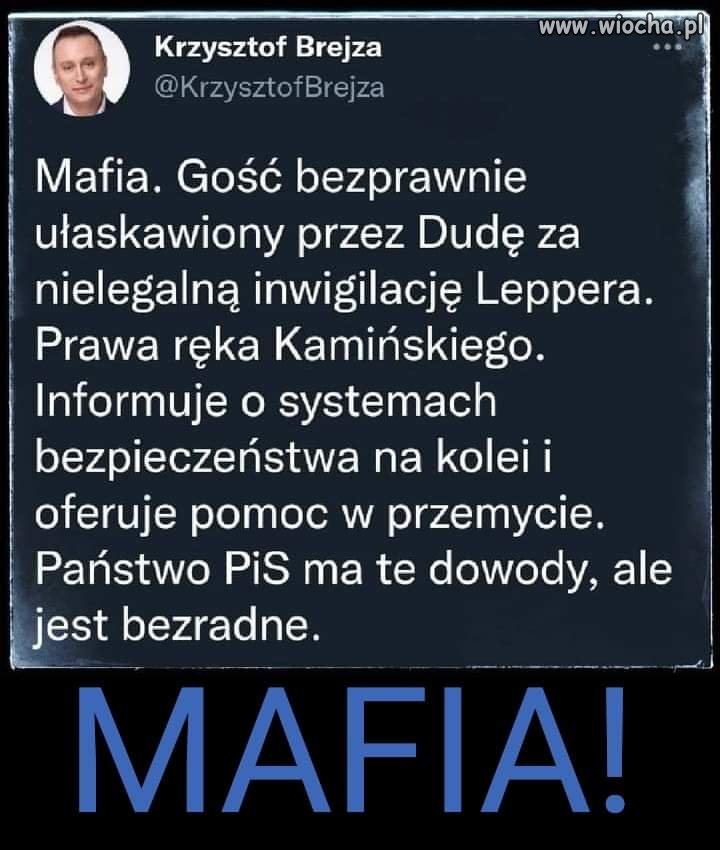 Mafia 
