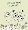Łamigłówka dla politycznego półgłówka! 