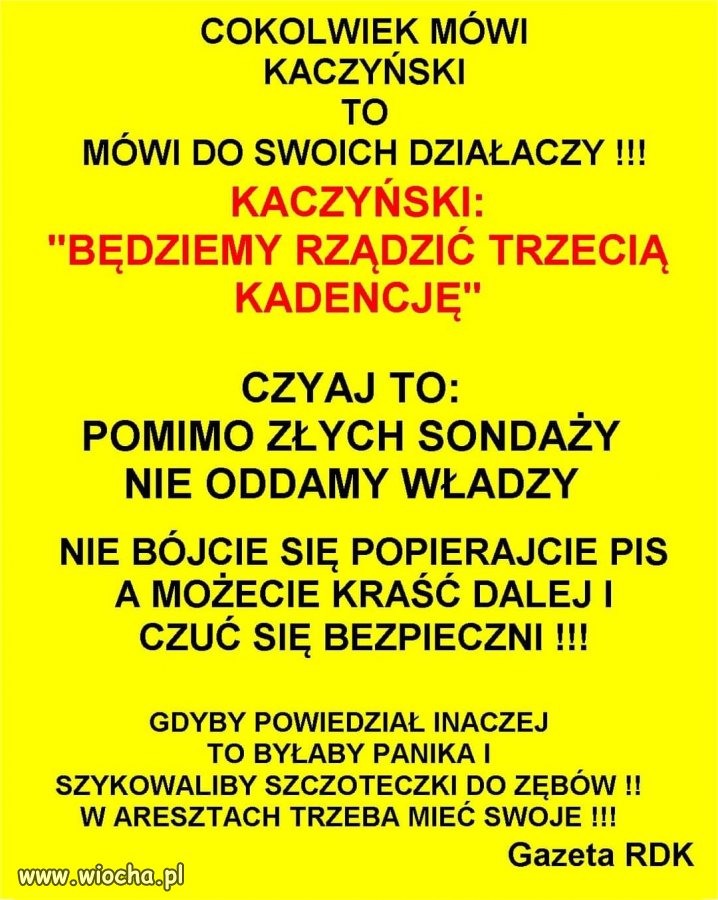 Wróżbita 