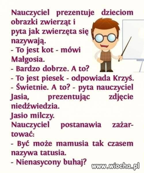 Nienasycony buhaj 