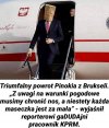 Pinokio powraca.