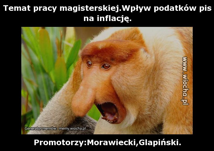 Temat pracy magisterskiej.Wpływ podatków pis na