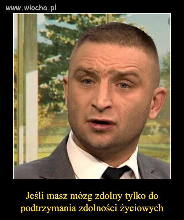 100%