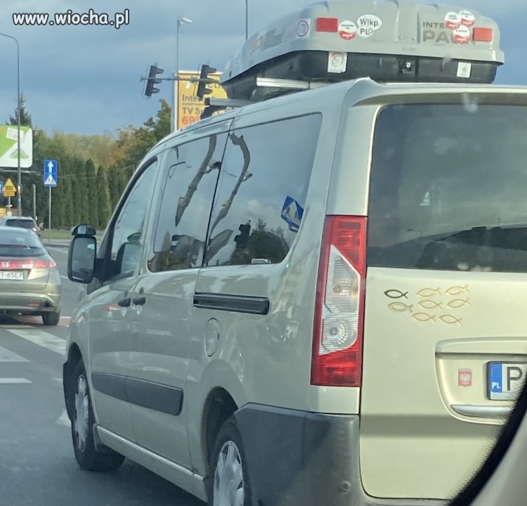 Zapalony wędkarz