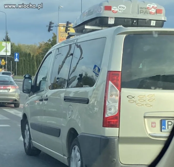 Zapalony wędkarz