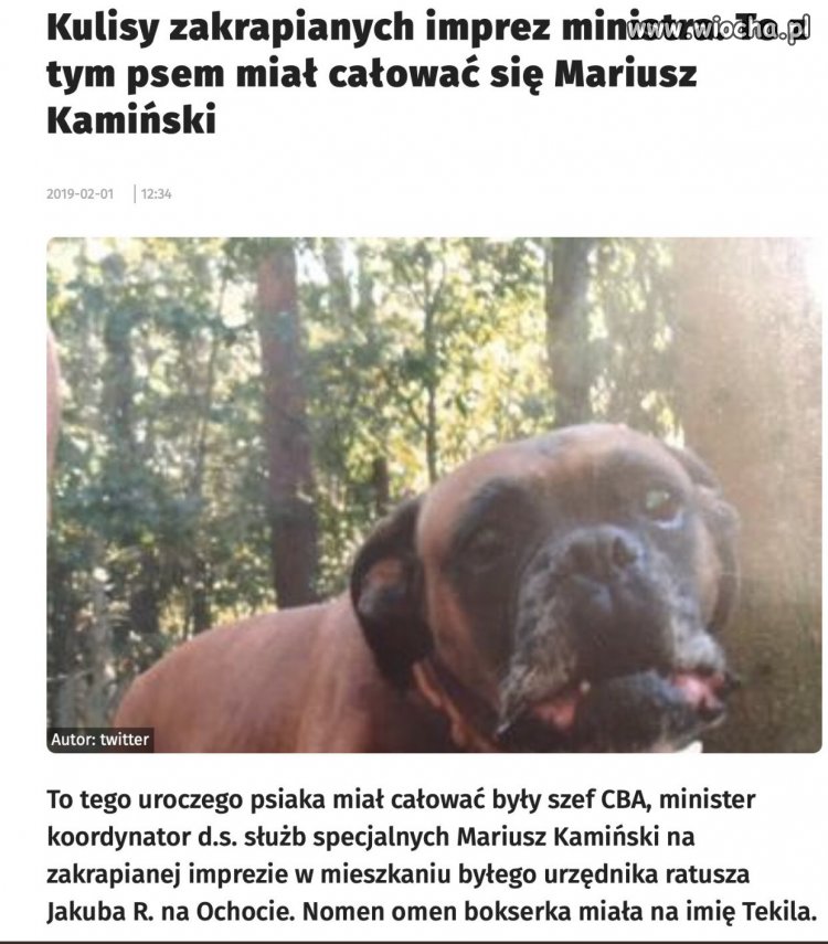 Powiedzenie ''pies mu mordę lizał'' nabiera nowego znaczenia.