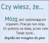 Mózg