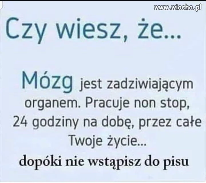 Mózg
