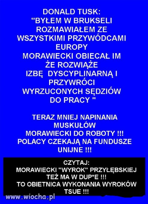 Koniec ruskiej dywersji, szkodnicy PiSu!