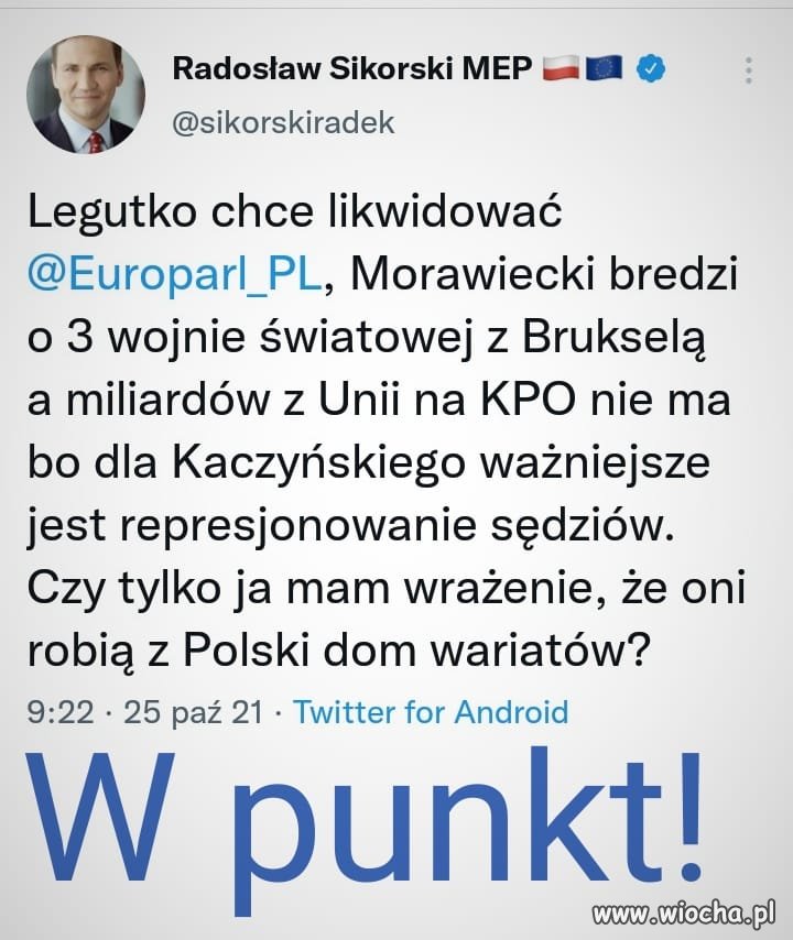 Dom wariatów 
