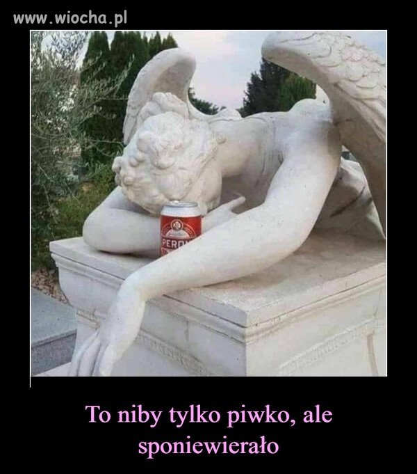 Jedno piwko