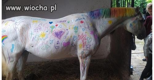 Szkółka jeździecka pozwoliła dzieciom pomalować konia kredkami