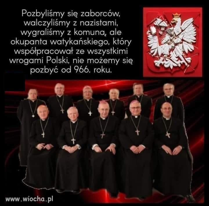 Jak się pozbyć tej Czarnej Zarazy?