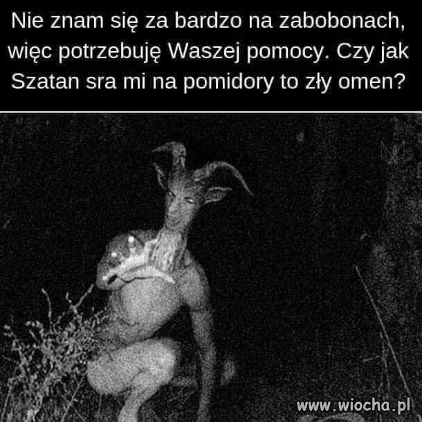 Też się nie znam