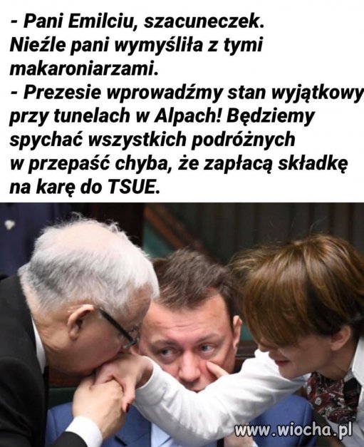 Tytułu brak.