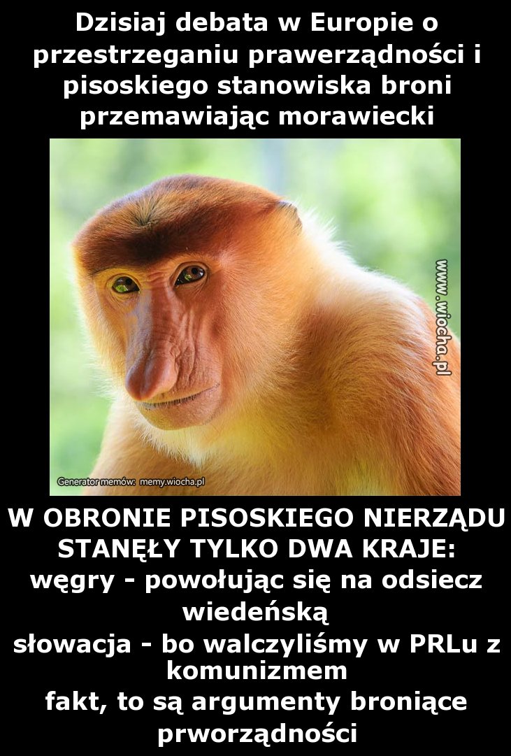 Dzisiaj debata w Europie o przestrzeganiu