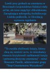 Czarna mafia
