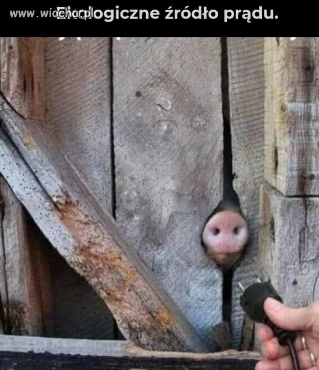 Po podwyżce prądu 