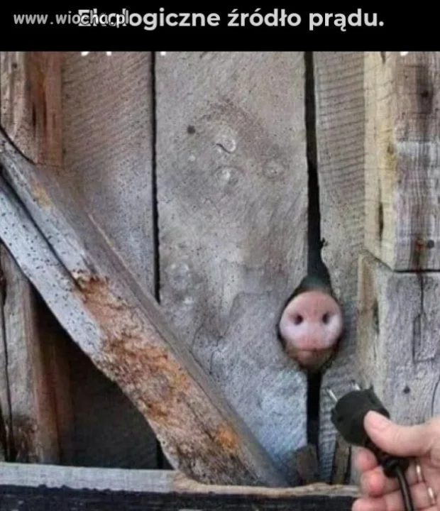 Po podwyżce prądu 