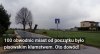 Przyznają to politycy PiS w korespondencji ujawnionej w sieci.
